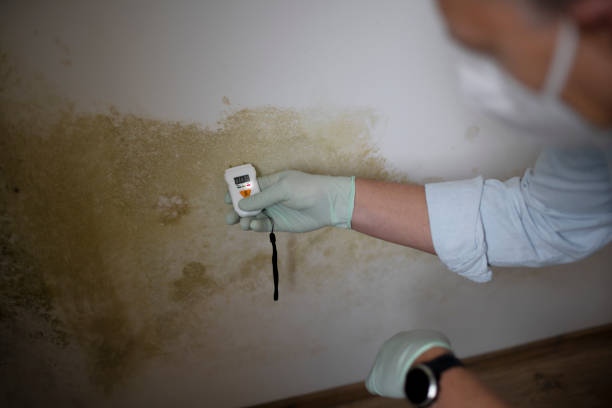 Water Damage Restoration in Carterville, MO